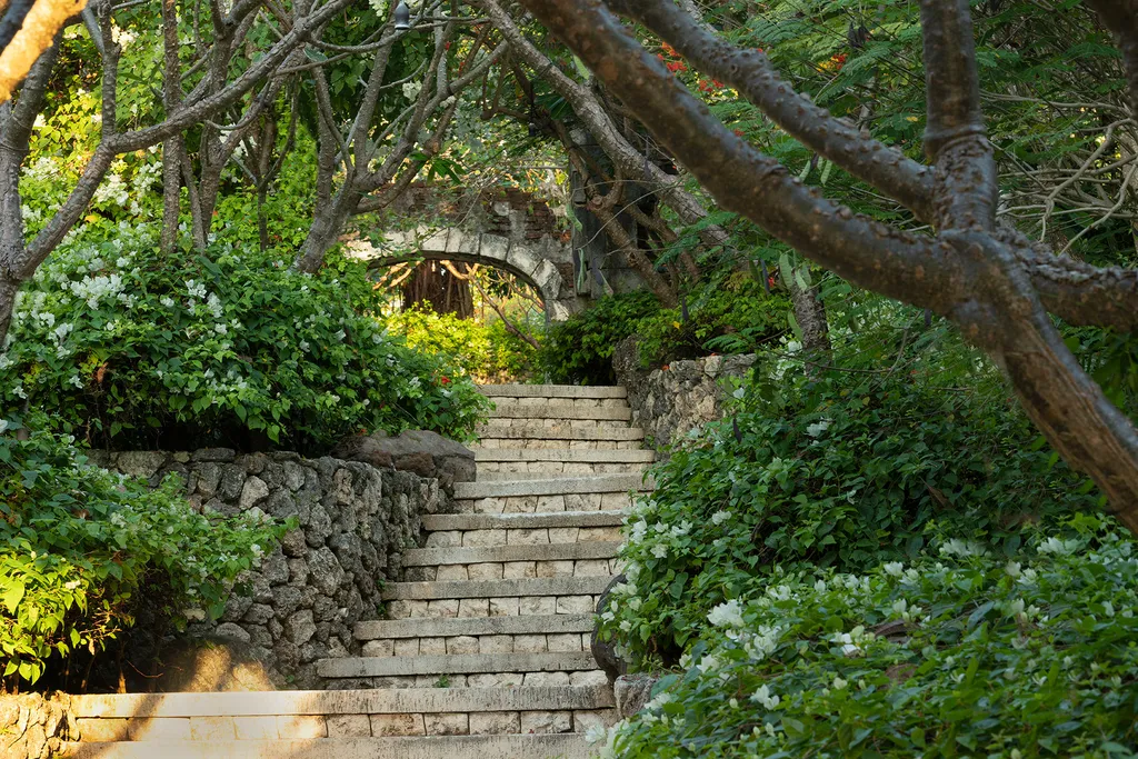 Vista de los jardines tropicales del resort