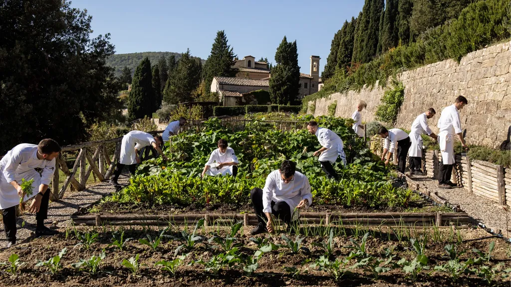 Huerto ecológico del restaurante del hotel en Italia | Mediolana Expert